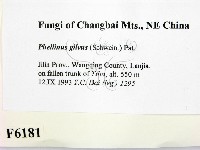 登錄號:F0006181藏品圖，第2張