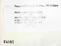 登錄號:F0006182藏品圖，第2張