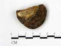 登錄號:F0006182藏品圖，第1張