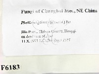 登錄號:F0006183藏品圖，第2張