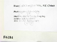 登錄號:F0006184藏品圖，第2張