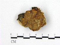 登錄號:F0006184藏品圖，第1張