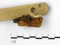 登錄號:F0006184藏品圖，第3張