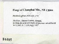 登錄號:F0006185藏品圖，第2張