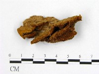 登錄號:F0006185藏品圖，第1張