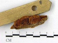 登錄號:F0006185藏品圖，第3張