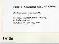 登錄號:F0006186藏品圖，第2張