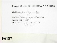 登錄號:F0006187藏品圖，第2張