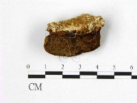 登錄號:F0006187藏品圖，第1張