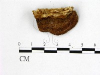 登錄號:F0006187藏品圖，第3張