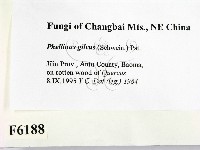登錄號:F0006188藏品圖，第2張