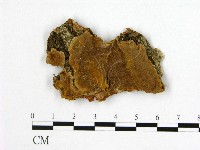 登錄號:F0006189藏品圖，第1張
