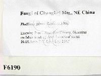 登錄號:F0006190藏品圖，第2張