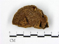 登錄號:F0006190藏品圖，第1張