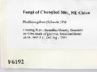 登錄號:F0006192藏品圖，第2張