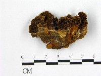 登錄號:F0006192藏品圖，第1張