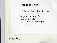 登錄號:F0006193藏品圖，第2張