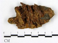 登錄號:F0006193藏品圖，第1張