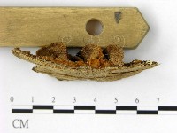 登錄號:F0006193藏品圖，第3張