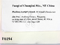 登錄號:F0006194藏品圖，第2張