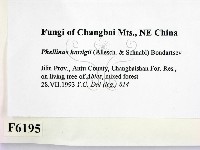 登錄號:F0006195藏品圖，第2張