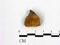 登錄號:F0006195藏品圖，第1張