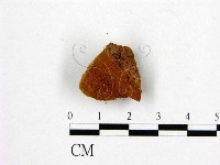 登錄號:F0006195藏品圖，第3張