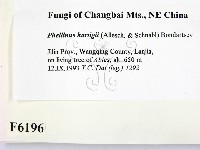 登錄號:F0006196藏品圖，第2張