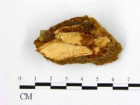 登錄號:F0006197藏品圖，第3張