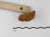 登錄號:F0006198藏品圖，第4張