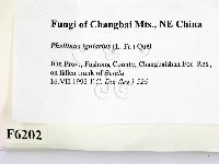 登錄號:F0006202藏品圖，第2張