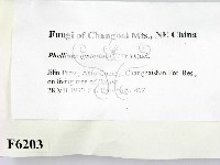 登錄號:F0006203藏品圖，第2張