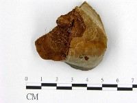 登錄號:F0006204藏品圖，第1張