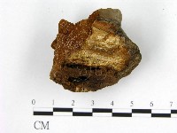 登錄號:F0006204藏品圖，第3張