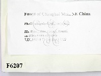 登錄號:F0006207藏品圖，第2張