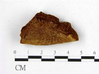 登錄號:F0006207藏品圖，第1張