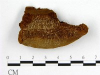 登錄號:F0006208藏品圖，第3張