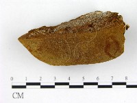 登錄號:F0006210藏品圖，第1張