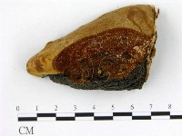 登錄號:F0006210藏品圖，第3張