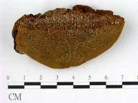 登錄號:F0006211藏品圖，第3張