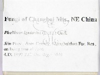 登錄號:F0006212藏品圖，第2張