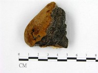 登錄號:F0006212藏品圖，第1張