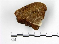 登錄號:F0006212藏品圖，第3張