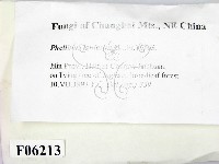 登錄號:F0006213藏品圖，第2張