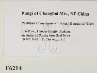 登錄號:F0006214藏品圖，第2張