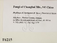 登錄號:F0006215藏品圖，第2張