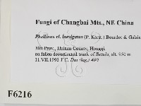 登錄號:F0006216藏品圖，第2張