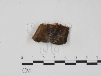 登錄號:F0006216藏品圖，第1張