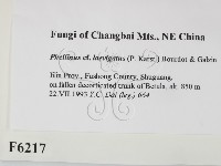 登錄號:F0006217藏品圖，第2張