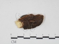 登錄號:F0006217藏品圖，第1張